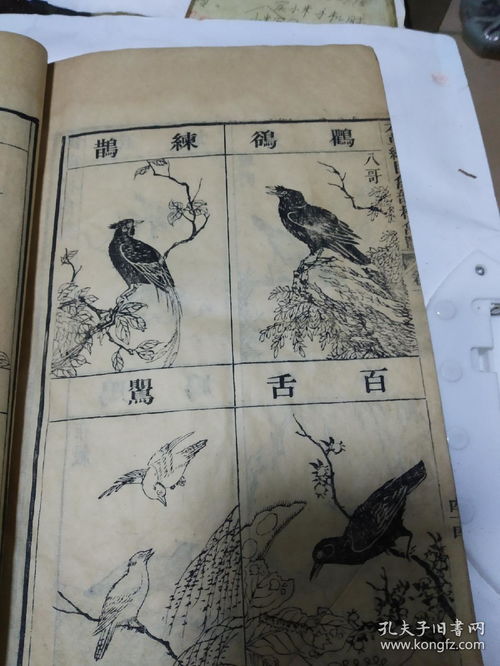 稀世本草 一套78卷全的《本草綱目》與趙氏遺珍首載考
